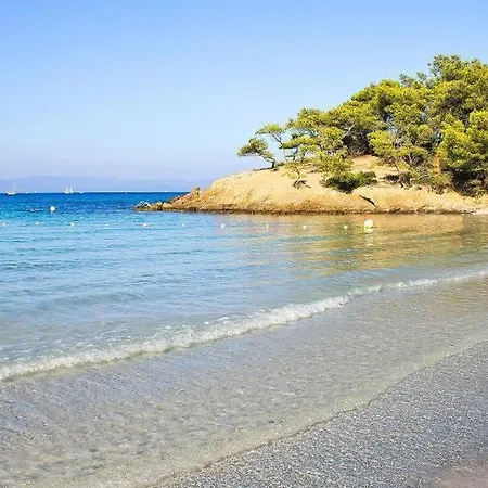 Magnifique Proche De La Hyères