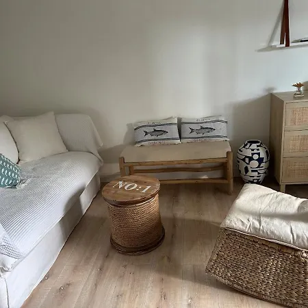 Magnifique Proche De La Hyères